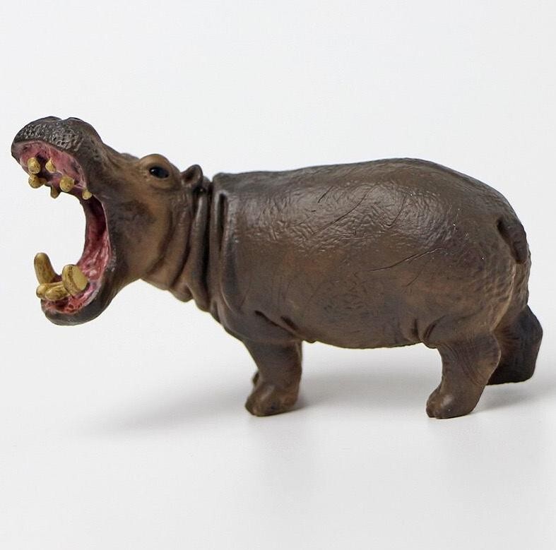 Realistic Hippopotamus Animal Model - Solid Mini Figurine for Kids Educational T