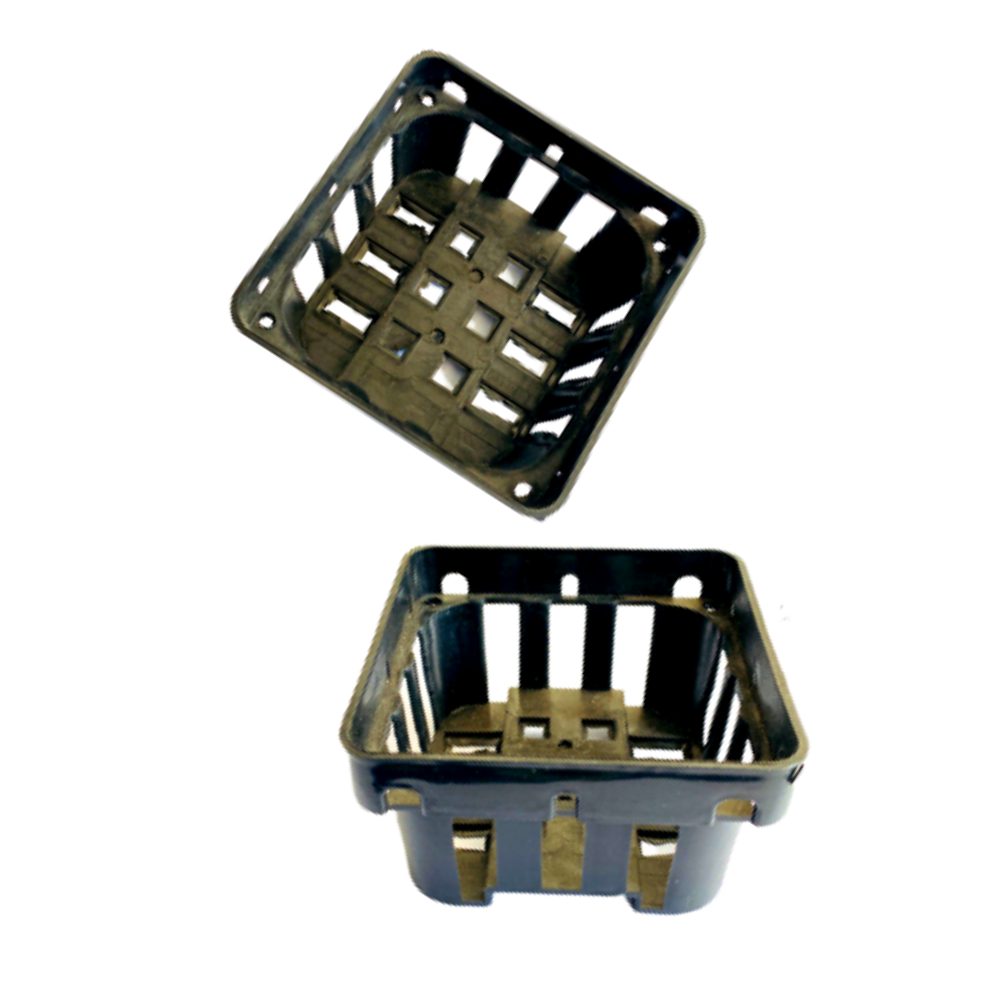 Black Square Plastic Vanda Orchid Air Plant Mesh Pot Net Basket 8cm