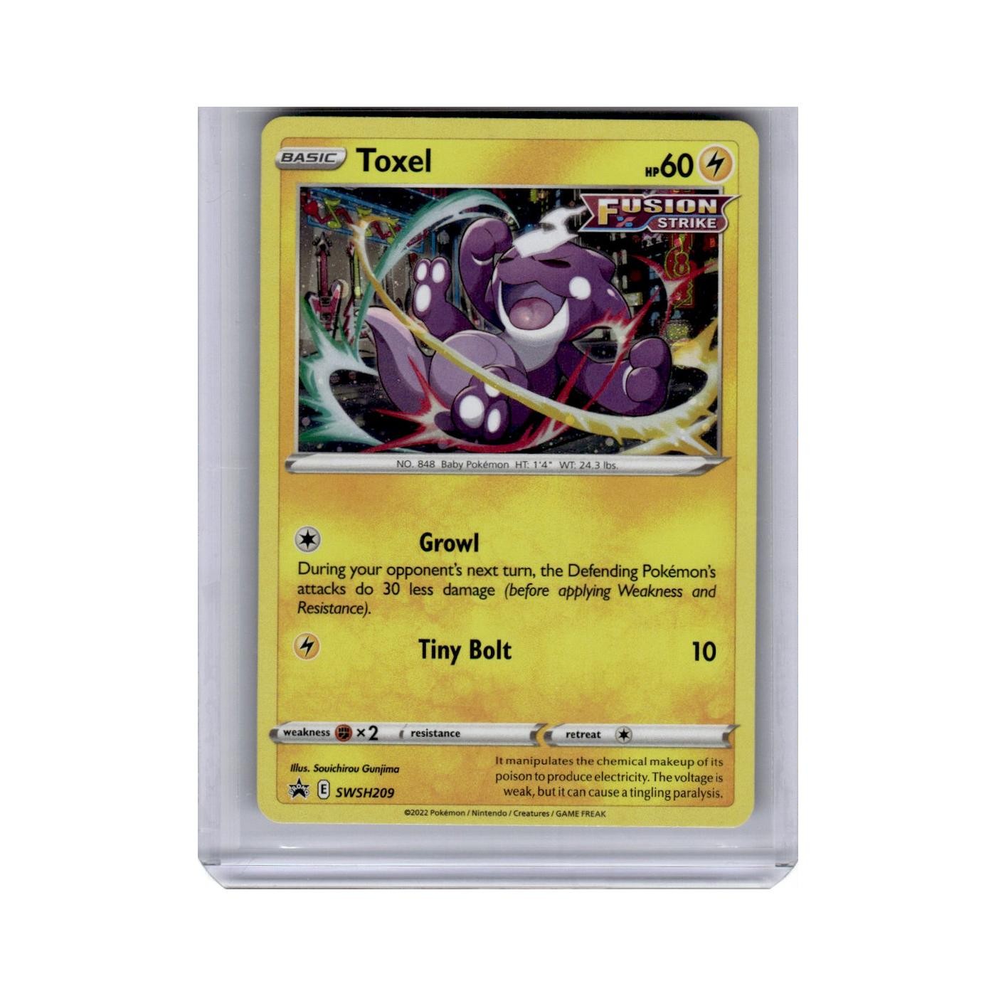 Toxel 2022 Sword Shield Black Star Promo #209 Pokemon Pokemon Card NM