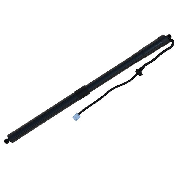 Diederichs 9100548 Gasfeder, Koffer-/Laderaum Links FüR Toyota RAV 4 V (_A5_, _H-image
