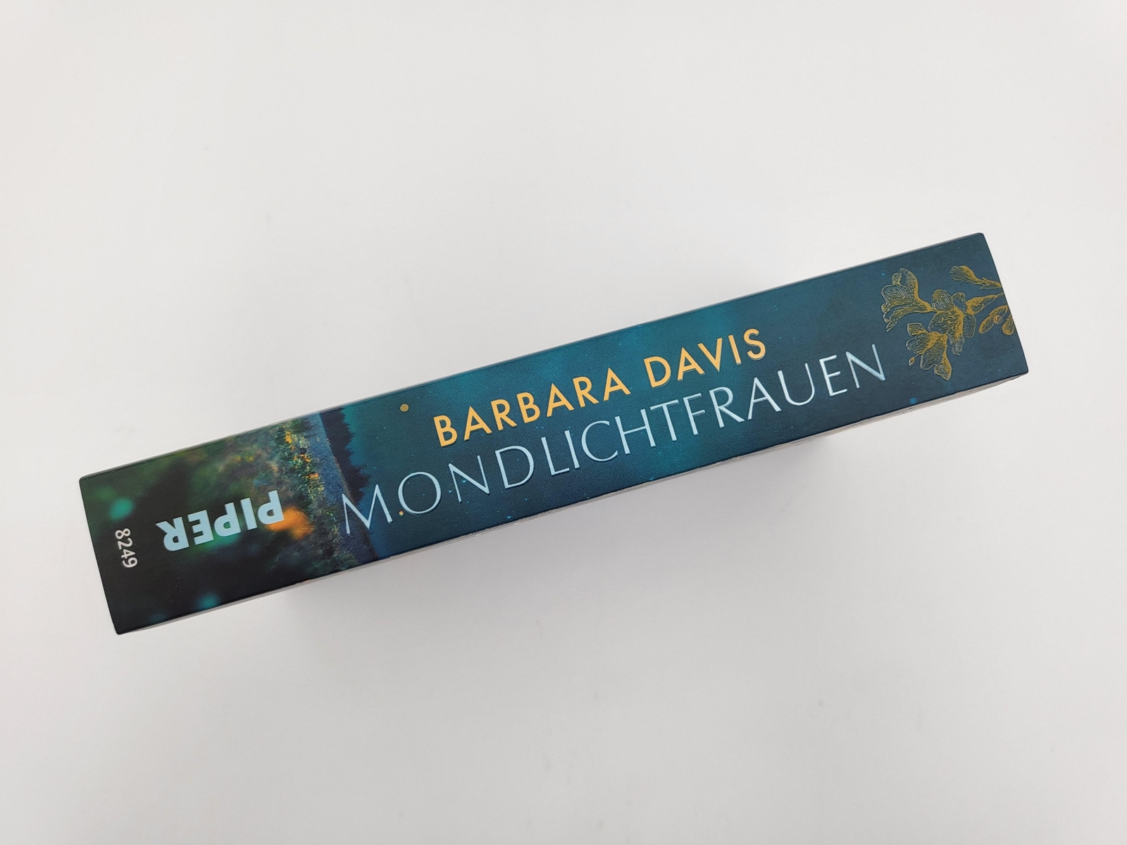 Thumbnail - Mondlichtfrauen, Barbara Davis