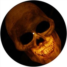 Slipmat Scratch Pad Felt for any 12" Turntable LP DJ Record Player SKULL AMBER
