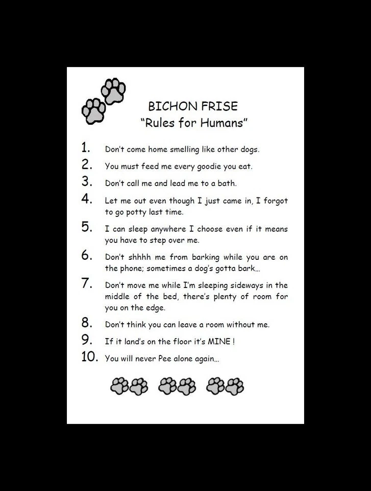 Bichon Frise "Rules for Humans" - CUSTOM MATTED - Dog Art Print : GIFT - Изображение 2 из 2