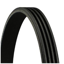 Continental Ctam Keilrippenriemen 4PK727 1172016E03 8201060429 | 832435