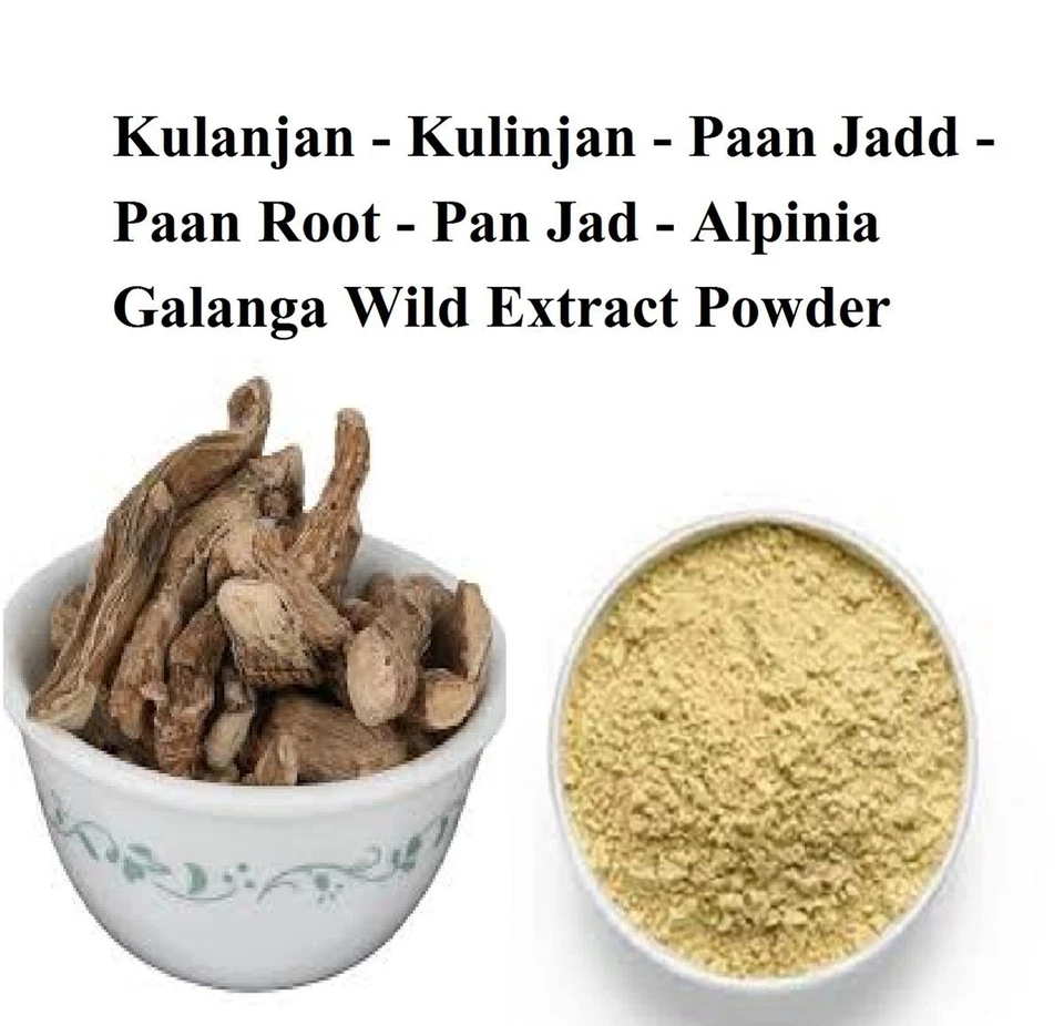 Paan Jad Kulanjan Betel Leaf Root Paan ki Jadd Piper betle Powder 100% Purest