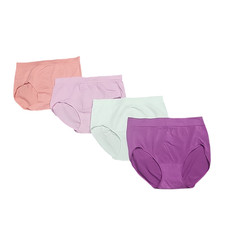 Carole Hochman Womens Set of 4 Panties Underwear Medium Size Multicolor