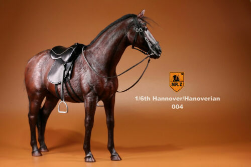 Figura MrZ 1/6 Alemania Hannover Caballo Hannover Animal Modelo Escala 12" EN STOCK - Imagen 36 de 46