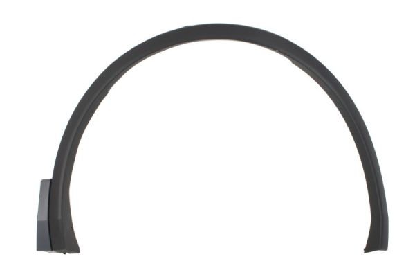 Right Front BLIC 5703-08-9588374P Trim/Protection Strip, wing for VW
