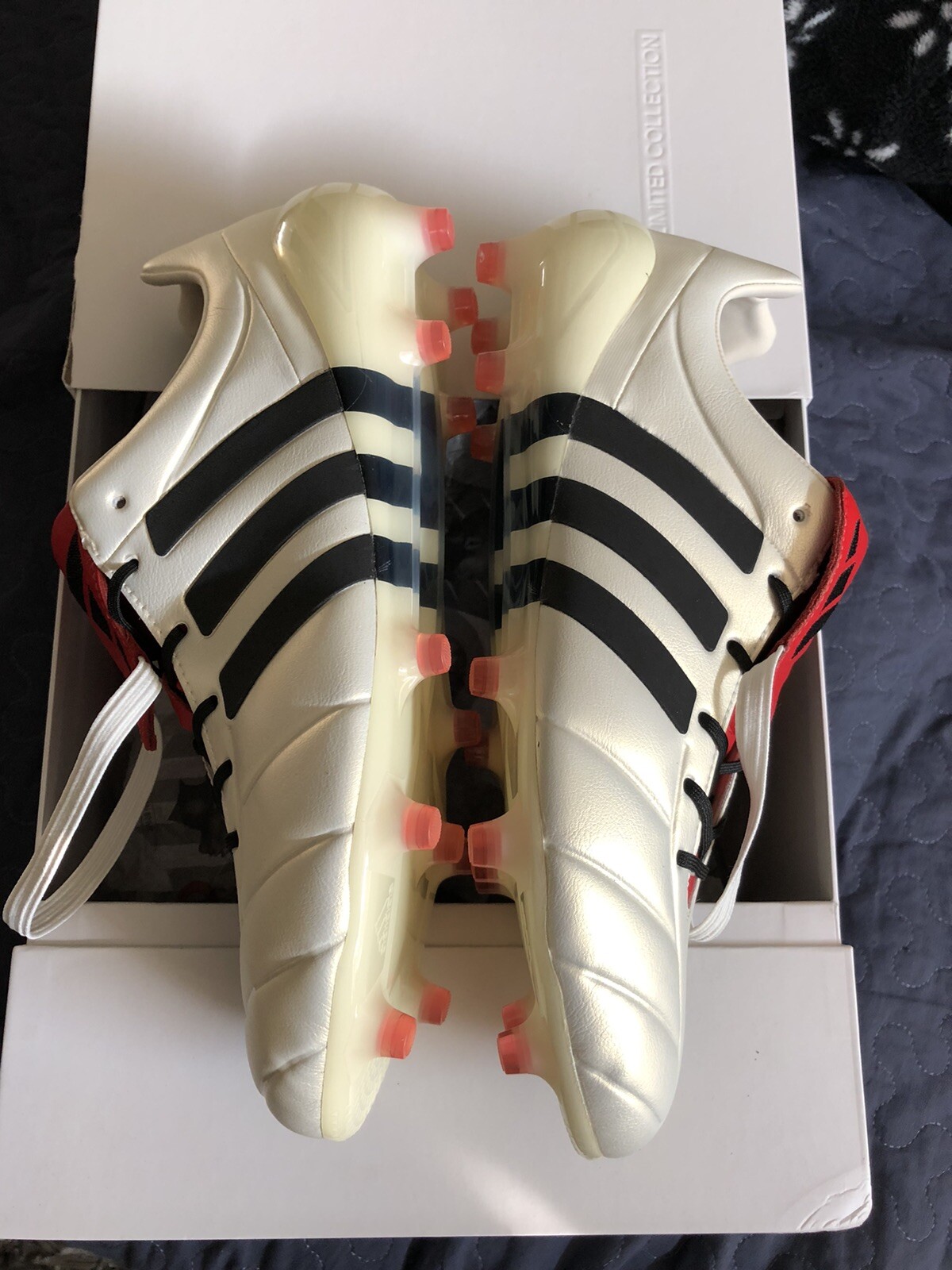 adidas predator mania fg champagne