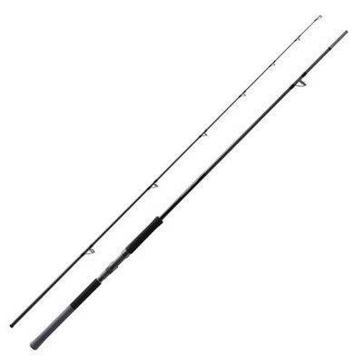 Shimano 26 SALTY ADVANCE SHORE JIGGING S96MH Spinning Rod | eBay