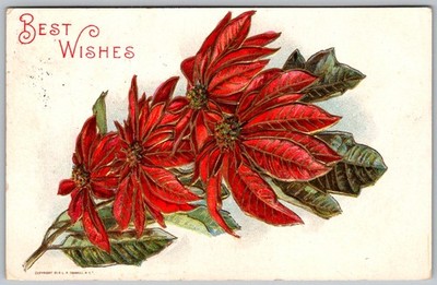 Antique Postcard Poinsettia Best Wishes Curtis, NE 1910s
