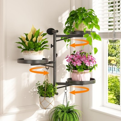 Rotating Wall Mount Window Plant Shelves Indoor with 2 Hanging