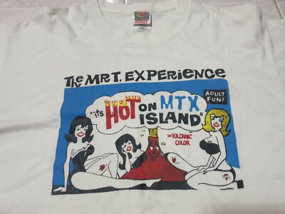the Mr.T Experience us pop punk LP2枚セット the Mr.T Experience us pop punk LP2枚セット the Mr.T