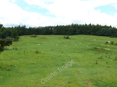 Foto 6x4 Low Kirkland, Kirkcudbright Blick entlang dieses Pfades auf OS Mapping c2010