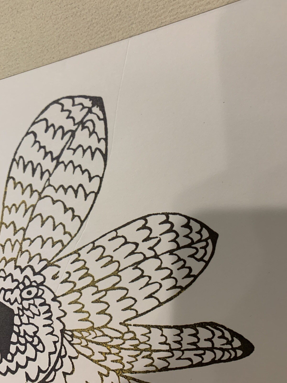 Picture 5 of 11