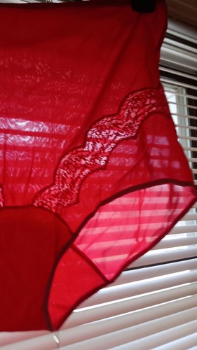 Vintage 1950's VAN RAALTE "Myth" Diamond Double Gusset & Lace Nylon Panties 6 - Picture 5 of 24