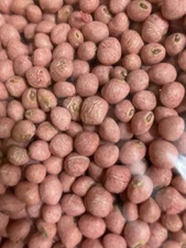 Zipper Cream Peas Seed Crowder Field Pea 1/2 Pound Approximately 800 Seeds