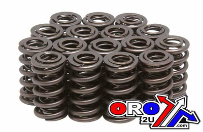 KIBBLEWHITE VENTILFEDERSATZ / 16 HONDA CBR900RR 1993-1999