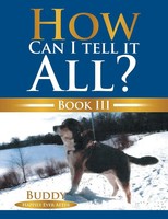 Suzette De Gaetano | How Can I Tell It All? | Taschenbuch | Englisch (2015)