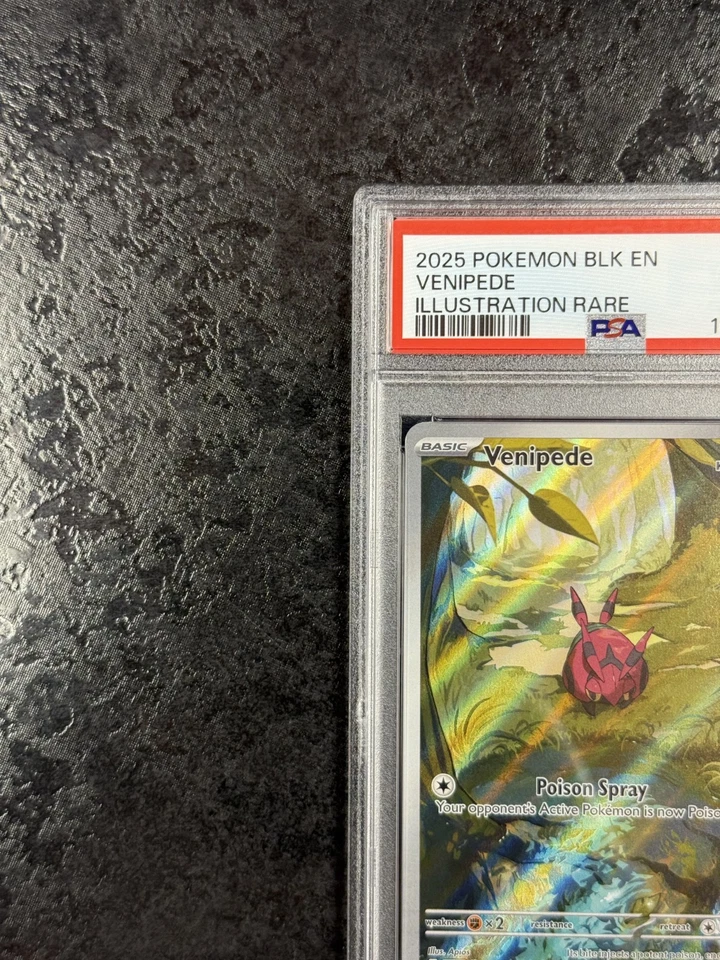 2025 POKÉMON BLACK BOLT EN VENIPEDE ILLUSTRATION RARE #132 MINT 💎 PSA 9 - Image 3 of 4