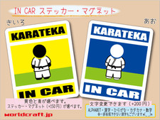 IN CAR Sticker Karateka Karate Car Sticker Magnet Available ot 1