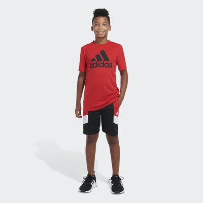 coloured adidas shorts