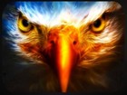 Bild 12 von 31