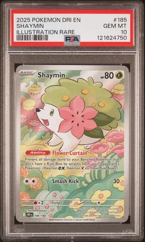 2025 POKEMON DRI EN-DESTINED RIVALS ILLUSTRATION RARE #185 SHAYMIN PSA 10