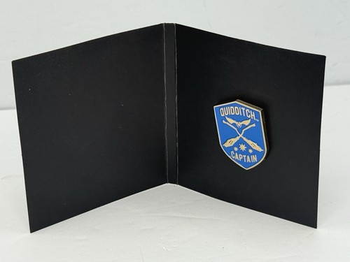 Harry Potter Pin Ravenclaw Quidditch Captain Loot Crate Exclusive 2019 - Picture 5 of 7