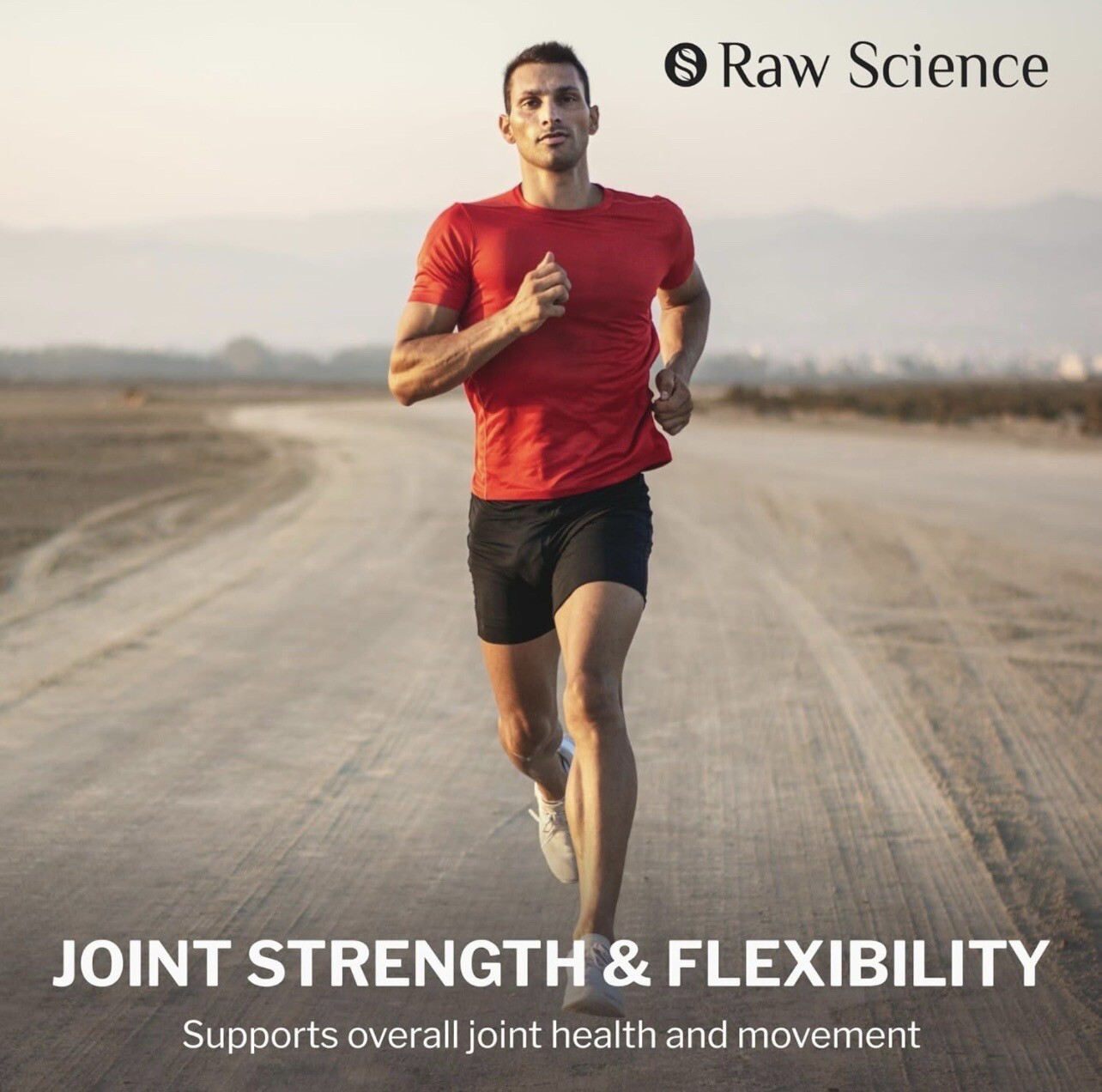 Turmeric Curcumin Supplement with Ginger Quercetin Bromelain Joint