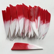 50 PCS 3INCH Shield Gradient Red Archery Fletches Feathers Fletching RW LW