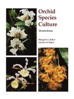 Dendrobium | Margaret Baker | Taschenbuch | Kartoniert / Broschiert | Englisch