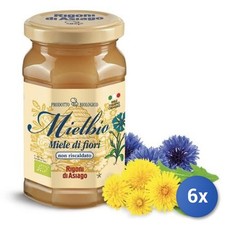 6X Multipack Rigoni Miel Bio Fleurs De Champ Gr 300