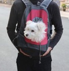GRESWE Small Pet Carrier Front/Backpack w/Head Out Design PINK - GENTLY USED — photo 1