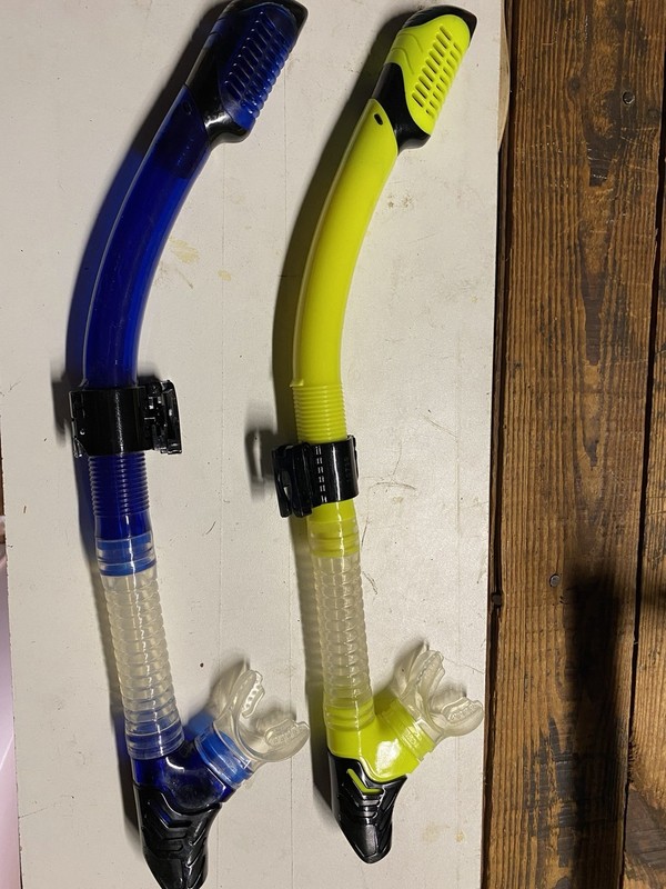 Set of Adult Snorkels Scuba Diving Snorkeling | Blue And Neon Colors