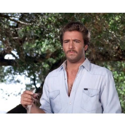 Lee Horsley Matt Houston TV Show Studio Photo Framing Print 8 x 10