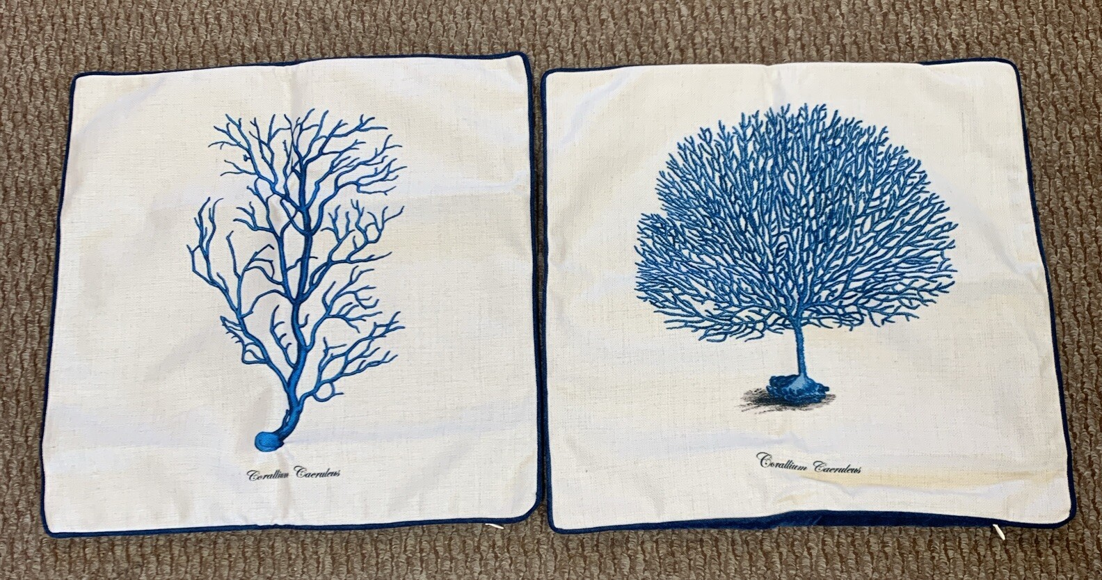 Bontalc 17x17 Pillow Covers Set of 2 Ocean Reef Themed Cases New-image