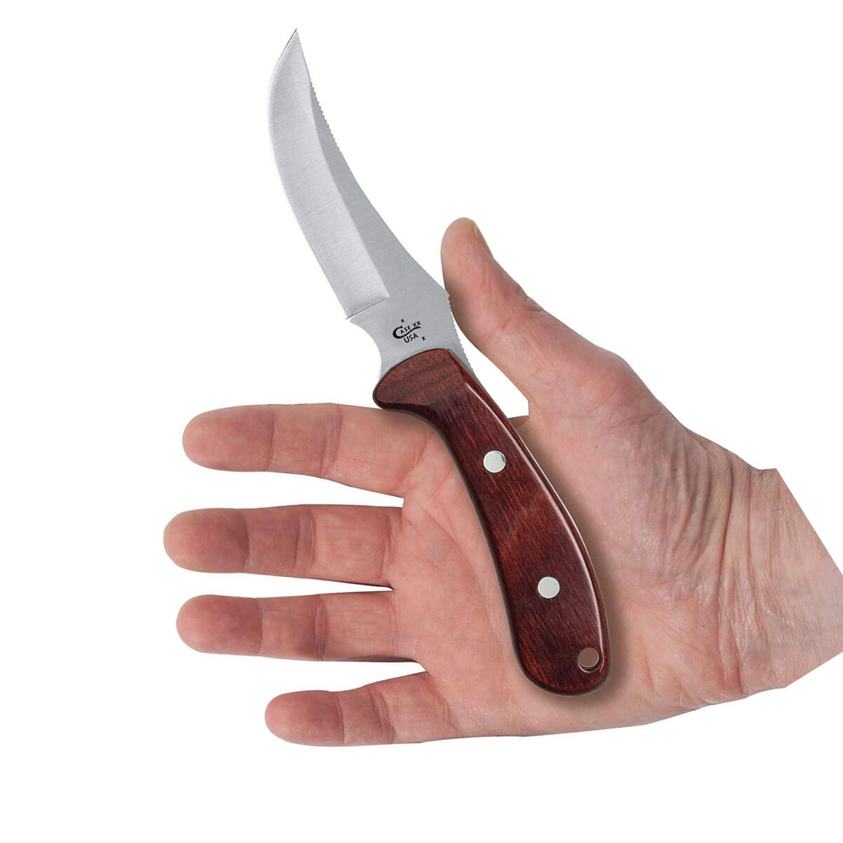 CASE XX Ridgeback Hunter Rosewood Knife with Leather Sheath (00398) eBay