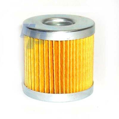 Malpassi Filter King, Austausch Benzinfilter. 67 mm, Papierfilter