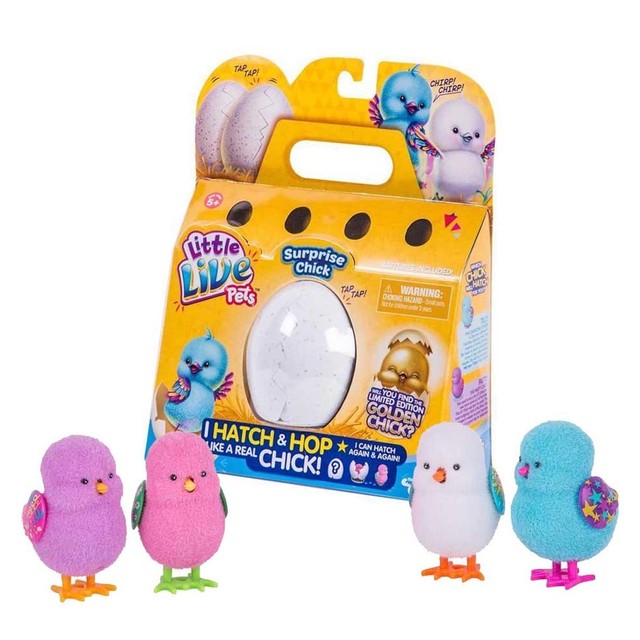 hatching chick toy