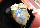 OPAL THUMBNAIL IN CASE VIRGEN VALLEY HUMBOLDT CO. NEVADA USA #087 — photo 5