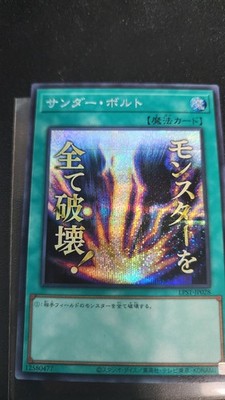 YuGiOh Raigeki - Secret Rare LPST-JP028 NM