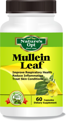 Mullein Leaf, Used for Asthma, Bronchitis, Cough, Flu, Nausea, Vomiting