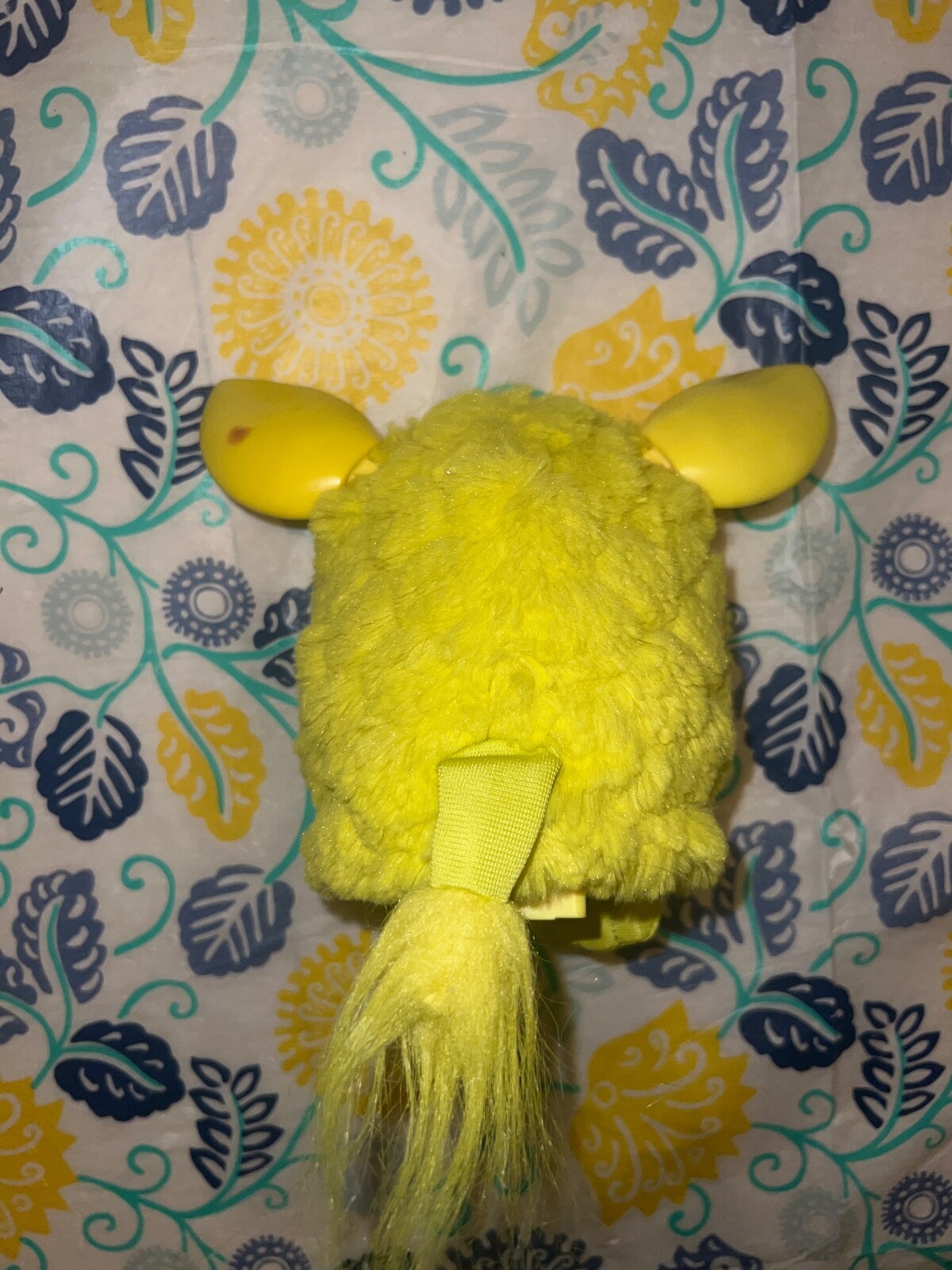 Picture 10 of 11