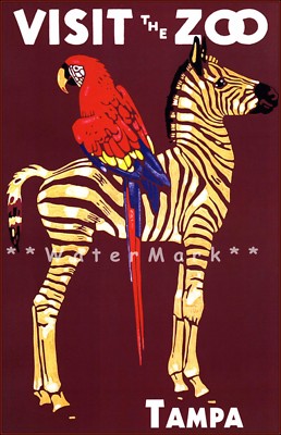 Tampa Florida 1960 Visit The Zoo Zebra and Macaw Bird Vintage Poster Print Art