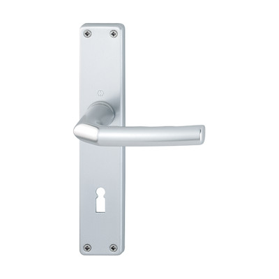 Hoppe Birmingham F1 - Alu Natur 1117/202SP Langschildgarnitur BB OB PZ WC WG