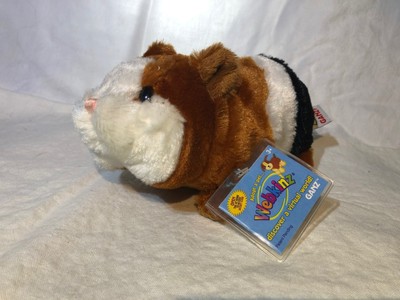 webkinz guinea pig