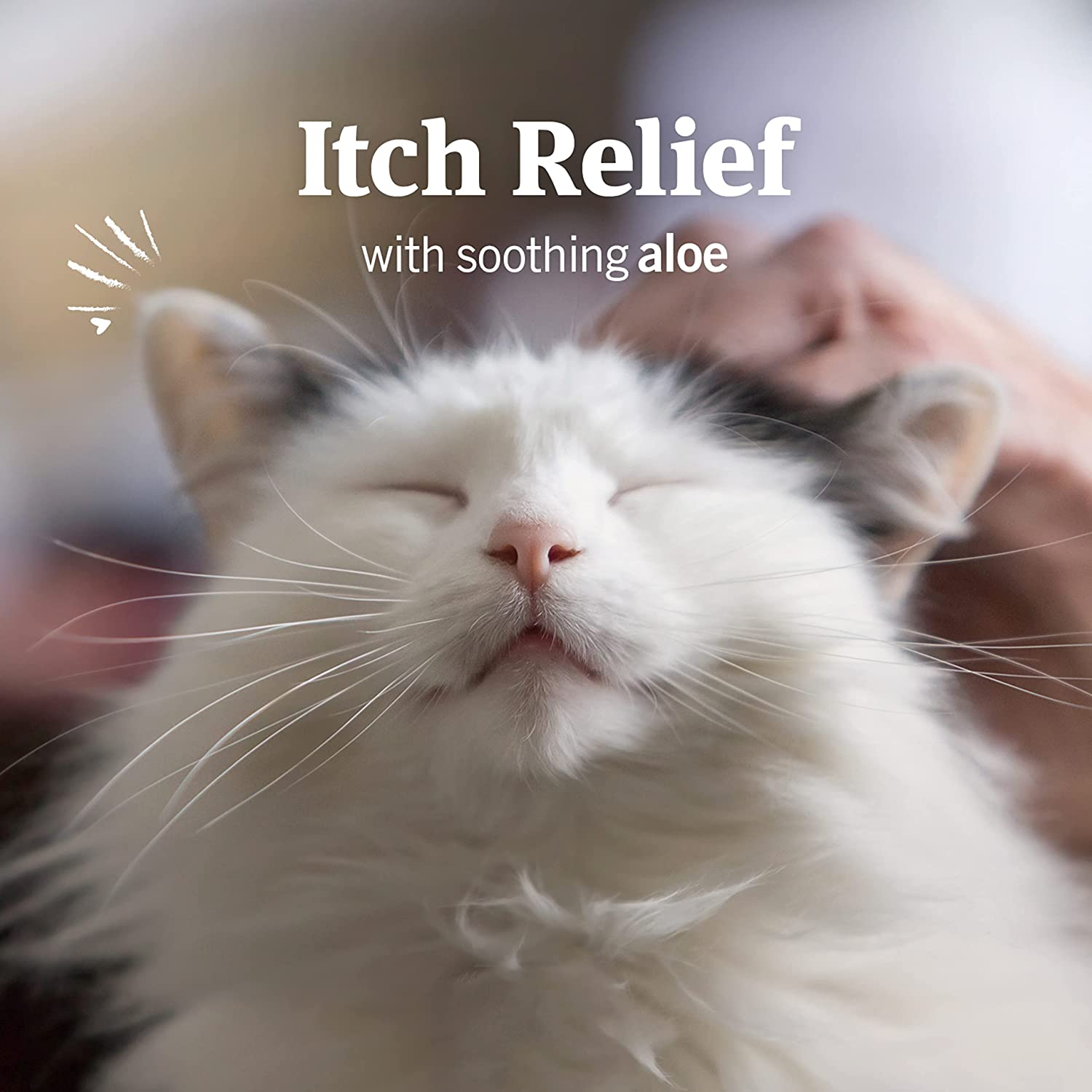 Petarmor Ear Mite Treatment for Cats, Ear Mite Medicine Kills Ticks and