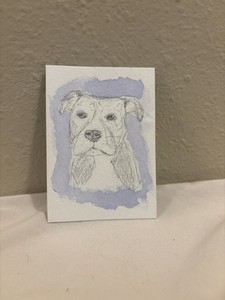 ACEO original OOAK sketch watercolor pitbull dog puppy mini art painting by MB