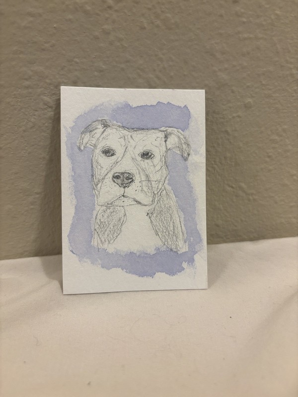 ACEO original OOAK sketch watercolor pitbull dog puppy mini art painting by MB